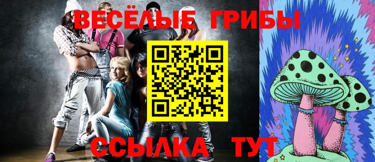 Галлюциногенные грибы Psilocybine cubensis Барабинск